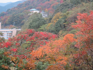 2017.11.30dꂩ̍gt.JPG