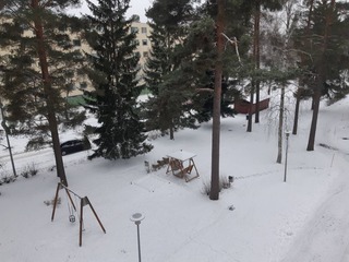 2022.11.10エートゥ君からフィンランドの庭に雪が.JPG